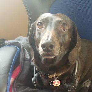 Meet your Posher, Andrew